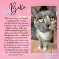 Photo of Bella 