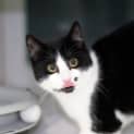 Photo of Jemima 