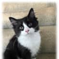 Photo of Batsey