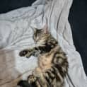Photo of Mimi