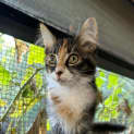 Photo of Yerma