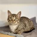 Photo of Tabitha