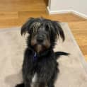 Photo of Arlo 
