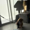 Photo of Nyla