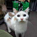 Photo of Enid