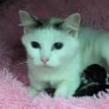 Photo of Enid