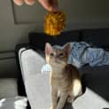 Photo of Luey