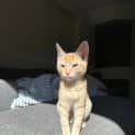 Photo of Luey