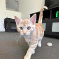 Photo of Duey