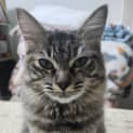 Photo of Kee Kee 