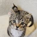 Photo of Catrick 