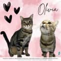 Photo of Olivia