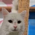 Photo of Murphy