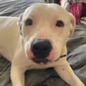 Photo of Casper