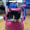 Photo of Tina Located In Bentleigh East