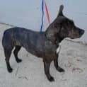Photo of Abbie