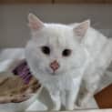 Photo of Stanley