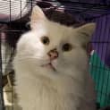 Photo of Stanley