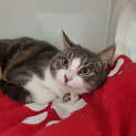 Photo of Hugo