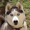 Photo of Sasha