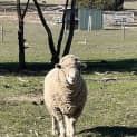Photo of Barry 