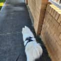 Photo of Aaru