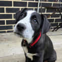 Photo of Thorold