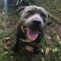 Photo of Wilbur