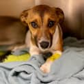 Photo of Sprout