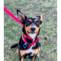 Photo of Milly