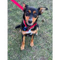 Photo of Milly