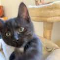 Photo of Dot