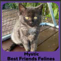 Photo of Mystic 