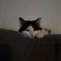 Photo of Wednesday