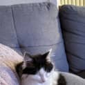 Photo of Wednesday