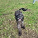 Photo of Betty