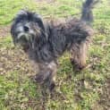 Photo of Betty