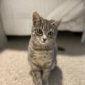 Photo of Cassandra