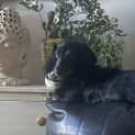 Photo of Ninuzzo (Antonio)