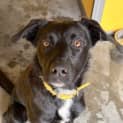 Photo of Sooty