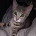 Photo of Charlie
