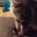 Photo of Ivy