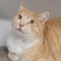 Photo of Sandy