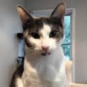 Photo of Bode Located In Eltham North