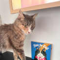 Photo of Alorah