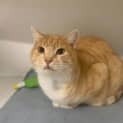 Photo of Sandy