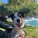 Photo of Axel