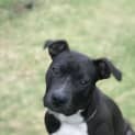 Photo of Jess