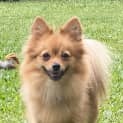 Photo of Lulu