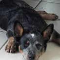 Photo of Matilda